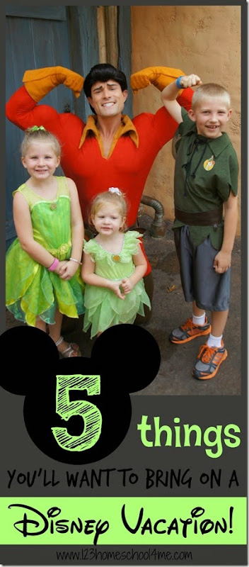 5 Things you'll want to bring on a Disney Vacation - great Disney tips for family vacation. You wont' want to forget these!!! 5 Things you'll want to bring on a Disney Vacation - great Disney tips for family vacation. You wont' want to forget these!!!