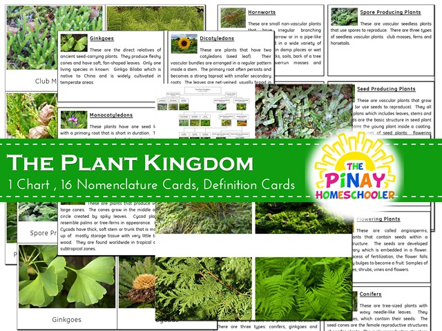 [Plant%2520Kingdom%255B12%255D.jpg]