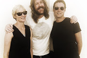 Spiderbait