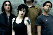 The Distillers