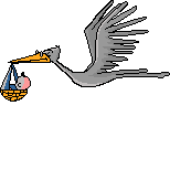 Gifs-animados-de-aves-pajaros-variados (53)