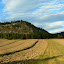 Pieniny