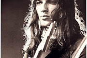 David Gilmour