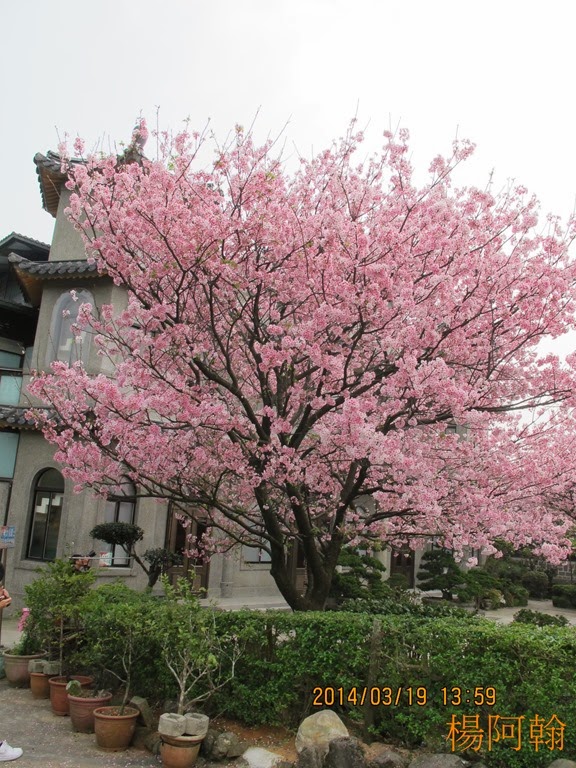 [0319%2520011%2520-%2520q%25C2%25B9%25C3%25BA%255B5%255D.jpg]