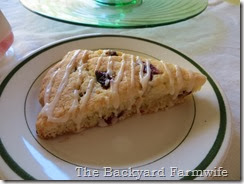 GF cranberry orange scone - The Backyard Farmwife