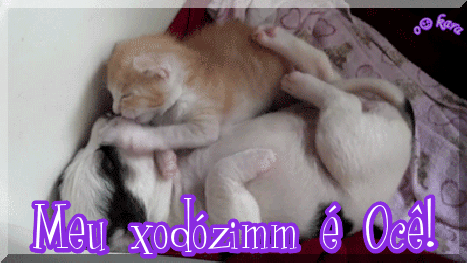 meu.gif