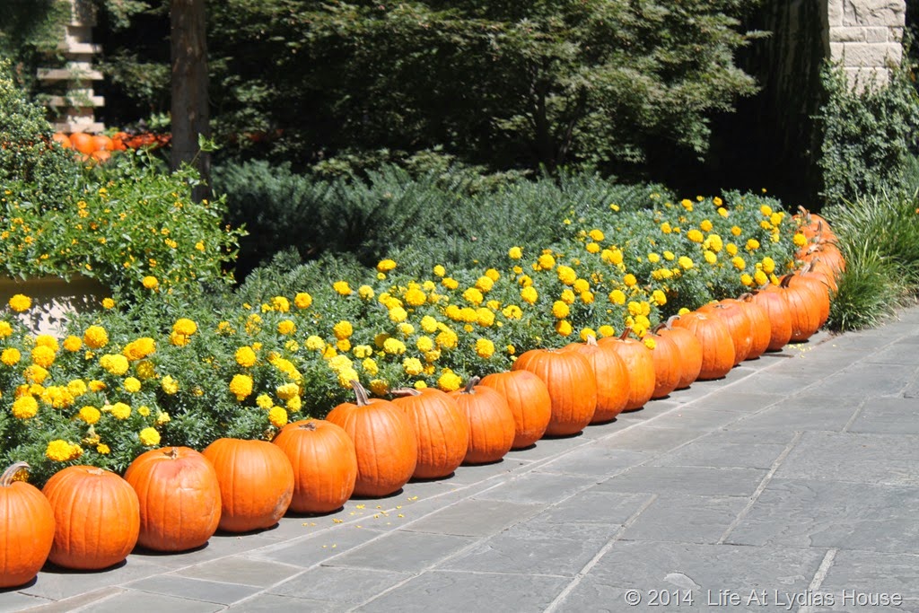[Dallas-Arboretum---pumpkin-festival-%255B17%255D.jpg]