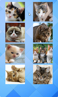 Download Cat Puzzle APK for PC