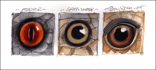 [eyes-bg%255B3%255D.gif]