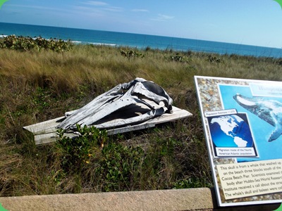 Barrier Island Center 008