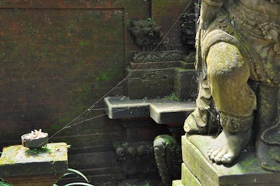 DSC_0117.jpg