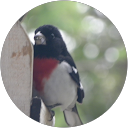 Frédérique L.,AutoDir