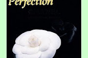 Perfection