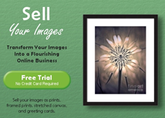 selling photographs online