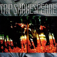 Are You Shakespearienced?