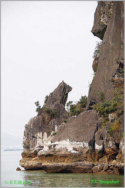 下龙湾狗形状的岩石