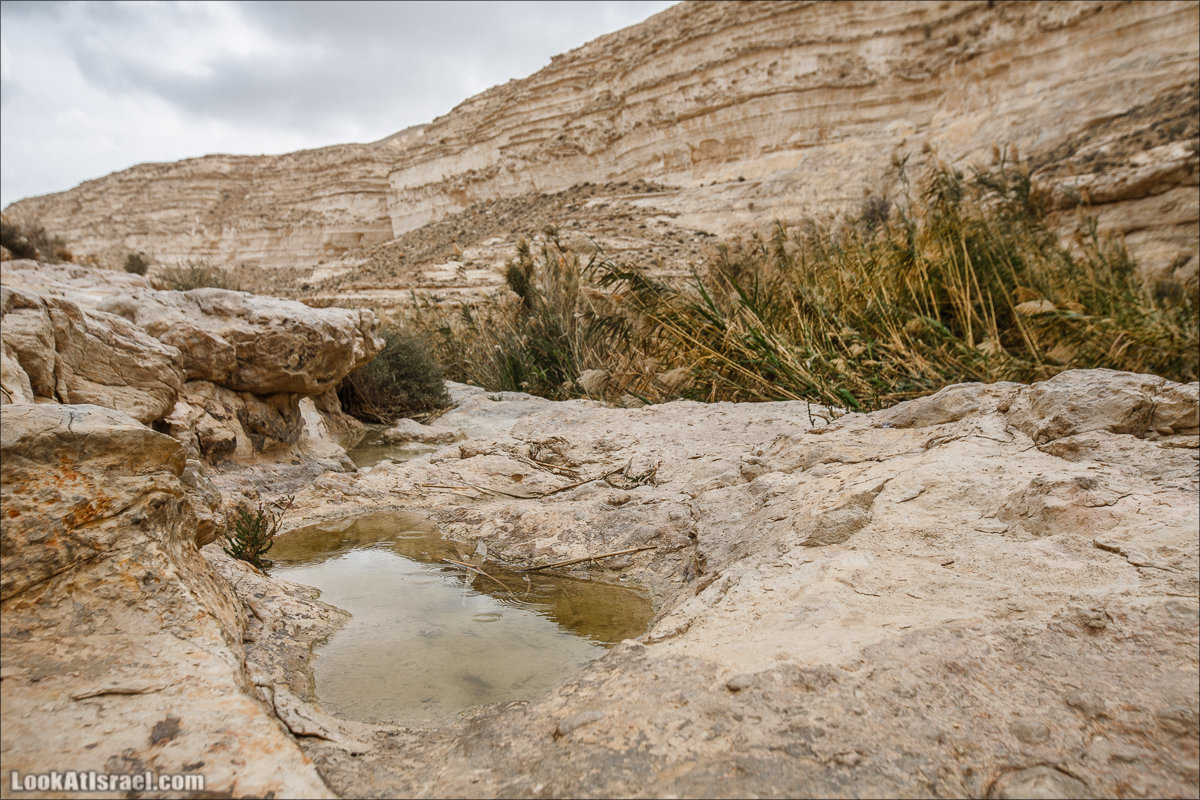 Ручей Акев и источник Эйн Акев в пустыне Негев. LookAtIsrael.com - Фото путешествия по Израилю