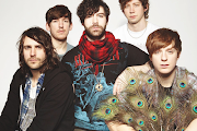 Foals