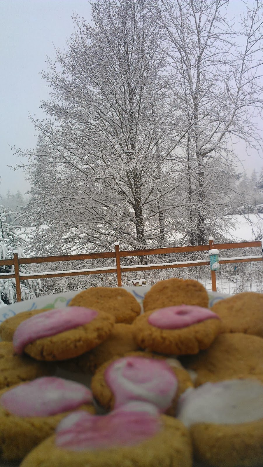 baking Vegan garbanzo bean cookie coconut cream icing
