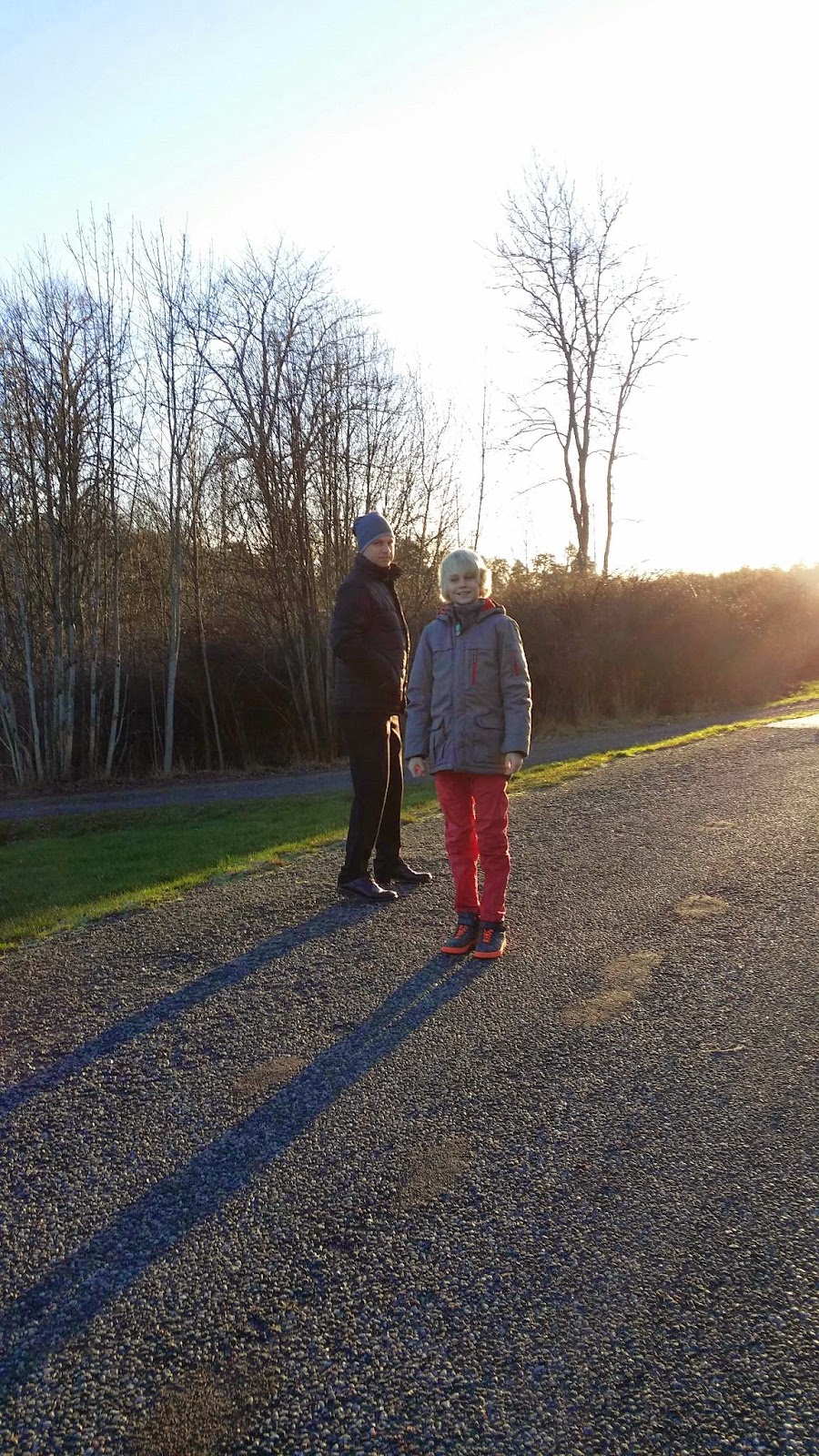 julbord på landet HOUSE NO 45: Julbord på landet