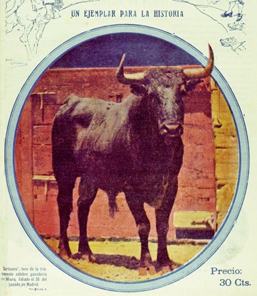 img_0096 1920-05-30 (La lidia 1920-06-07 Portada) Cortinero de Miura img_0096 1920-05-30 (La lidia 1920-06-07 Portada) Cortinero de Miura