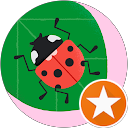 Image Google de Patricia Segaud