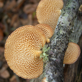 [image%255B45%255D.png]