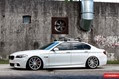 Vossen-17