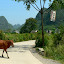Yangshuo - okolice