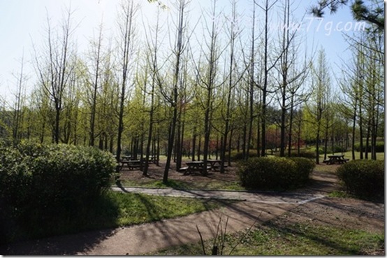 철천지DSC00010-20120426-082952