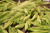 French cut beans