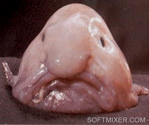 [clip_image007%255B3%255D.jpg]