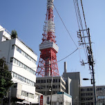 tokyo tower in Tokyo, Japan 