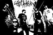 Zebrahead