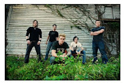 12 Stones
