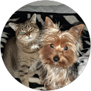 Image Google de C Nad