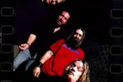 Corrosion Of Conformity
