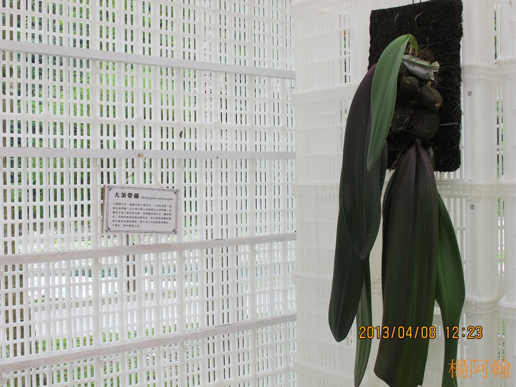 [2013----0515.jpg]