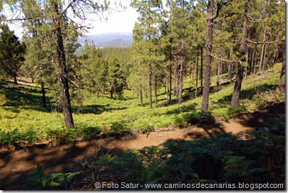 6395 Deg. Las Palomas-Bº. Hondo 6395 Deg. Las Palomas-Bº. Hondo