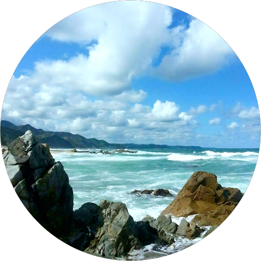 달콩알콩