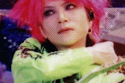 Hide