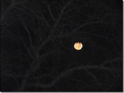 Full moon from Sis. Chosen 6 (640x480)