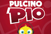 Pulcino Pio