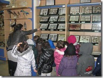 μουσείο φυσικής ιστορίας ΔΕΛΑΣΑΛ (2)