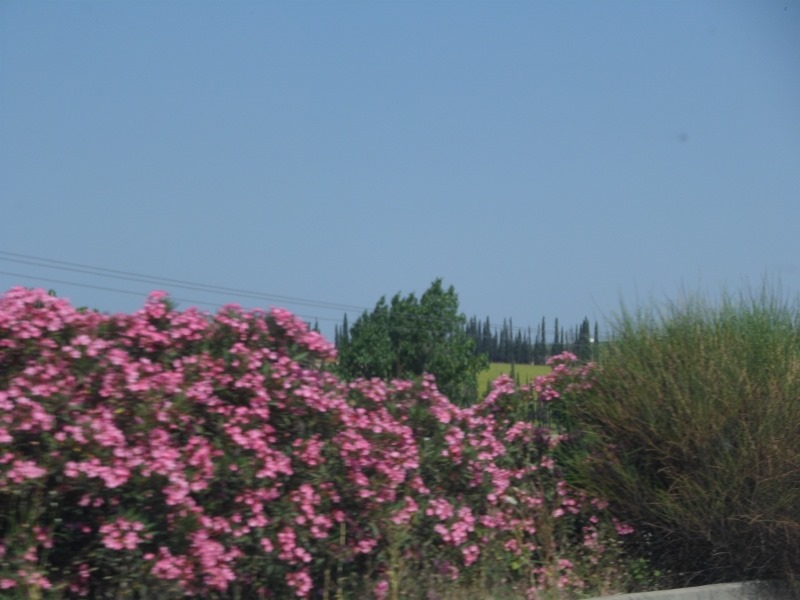 [SAM_5987%2520%2528800x600%2529%255B8%255D.jpg]