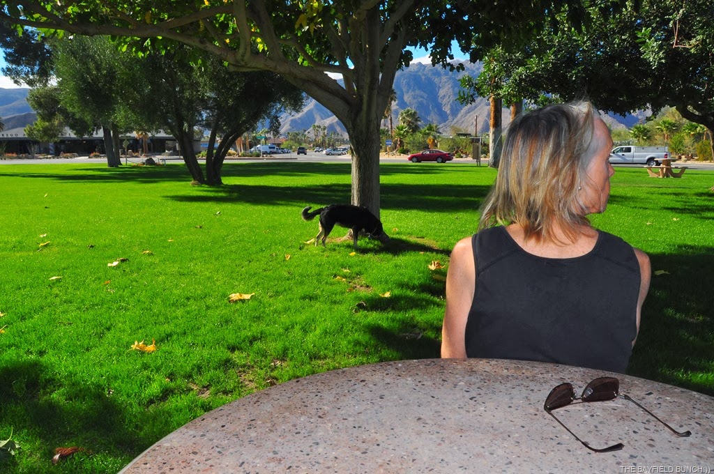 [DSC_0092%255B3%255D.jpg]