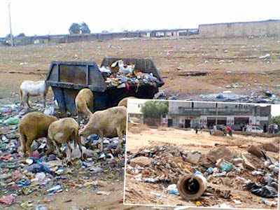 Salubrité publique, Le grand défi qui attend les bureaux d'hygiène  communaux - Algerie360