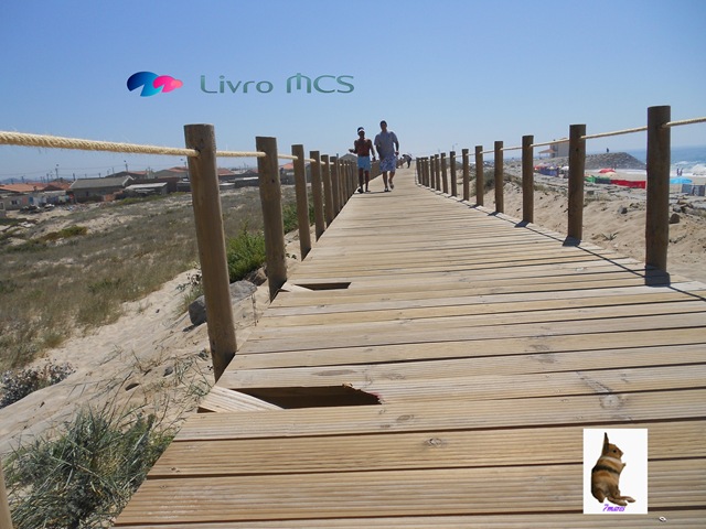 [Bolg%2520Gazeta%2520de%2520Espinho015%2520Livro%2520MCS%255B2%255D.jpg]