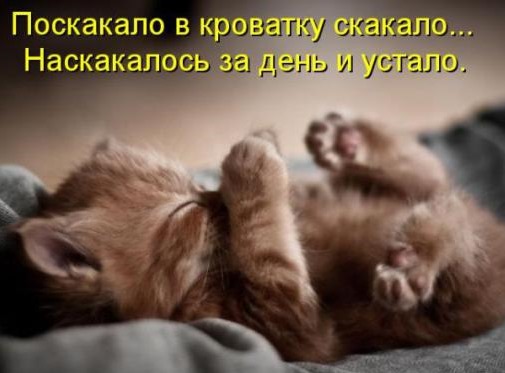 [44d80539c142c3de9b14e6f6a0a_prev%255B3%255D.jpg]