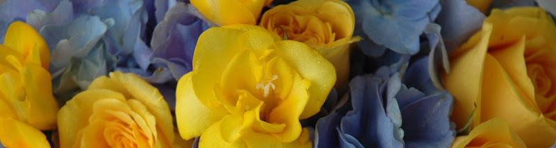 DSC_0013c DSC_0013c